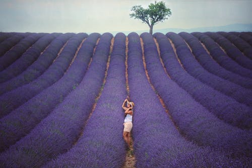 站在紫罗兰色作物之间的女人 · 免费素材图片