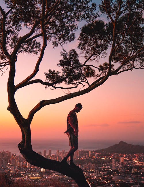 一名男子站在一棵树上的摄影 · 免费素材图片