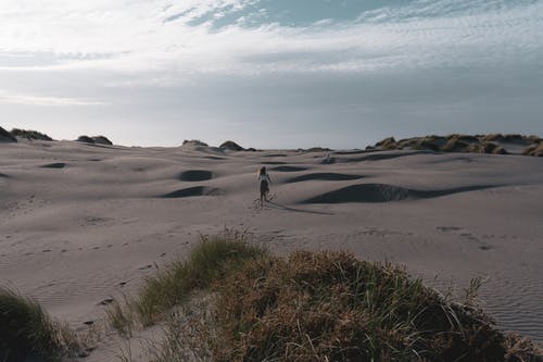 在灰色的沙滩上行走的人 · 免费素材图片