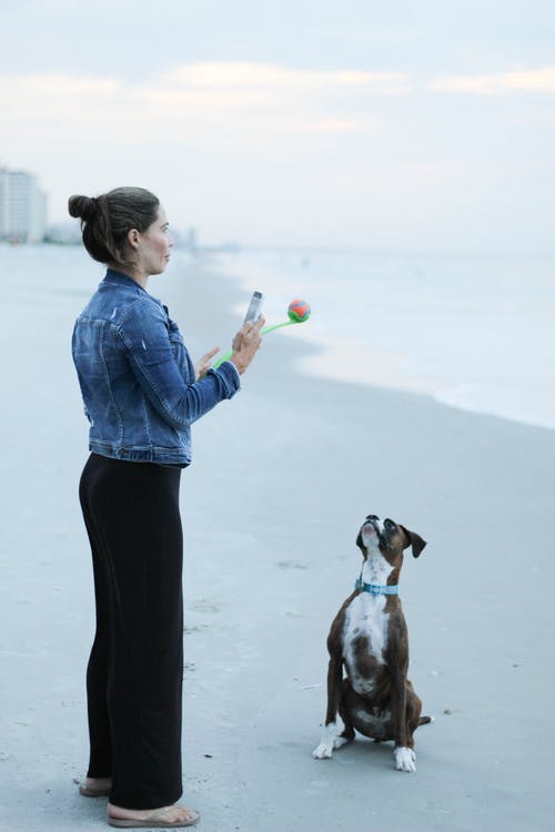 女人和她的宠物狗 · 免费素材图片