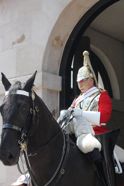在风景照片中的人戴着银骑士头盔骑黑马 · 免费素材图片