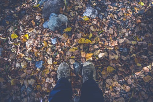 白天，黑裤子和灰色低帮鞋的人站在干枯的树叶和岩石上 · 免费素材图片