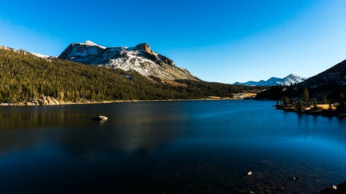 在白雪皑皑的山脉和蓝天下的绿色发t附近的平静水 · 免费素材图片