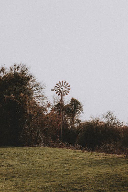 有关光, 和平的, 和谐的免费素材图片