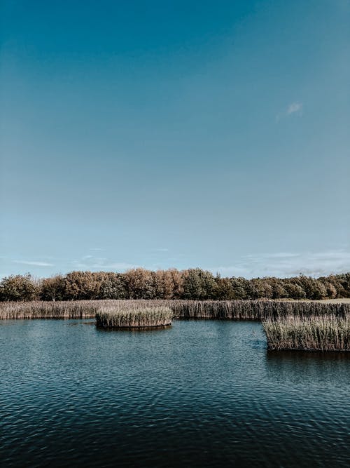 如画的风景，荡漾着宁静的河 · 免费素材图片