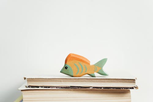 绿色和橙色木制鱼玩具 · 免费素材图片