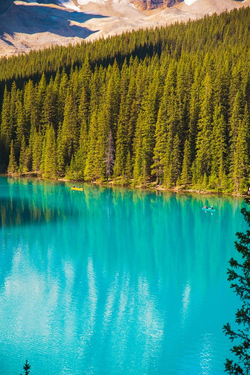 绿松石湖山间覆盖着森林 · 免费素材图片