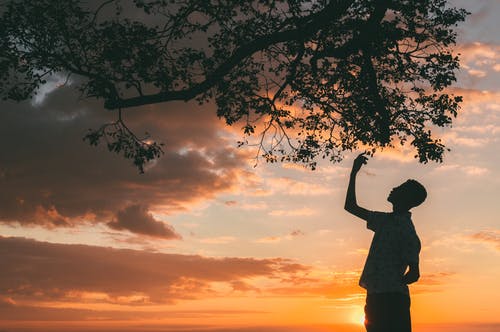 在日落时站在树下的男人的身影 · 免费素材图片