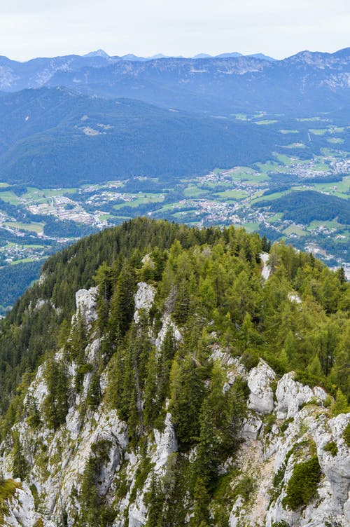 有关冷杉, 冷静, 厚的免费素材图片