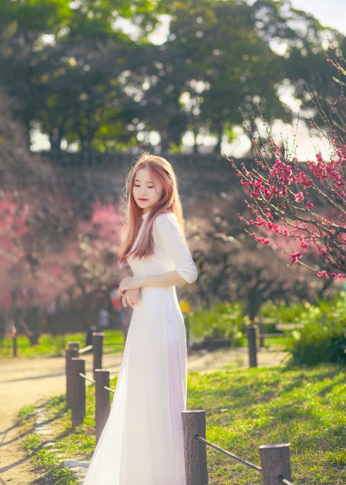 有关全景, 吸引人, 梦想的的免费素材图片