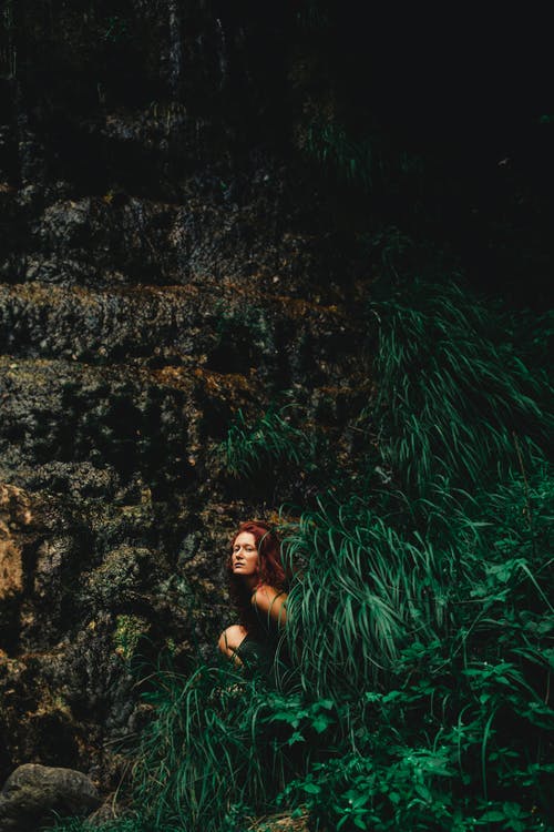 有关休息, 休闲, 假期的免费素材图片