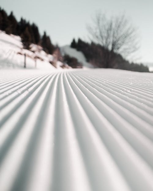 大雪覆盖的领域 · 免费素材图片