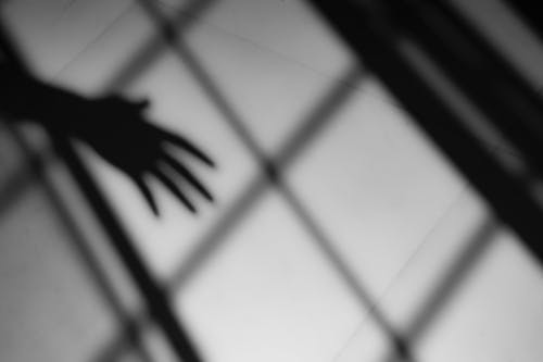 有关bw, 不动产, 不露面的免费素材图片