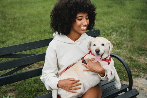 长凳上开朗的黑女人与狗 · 免费素材图片