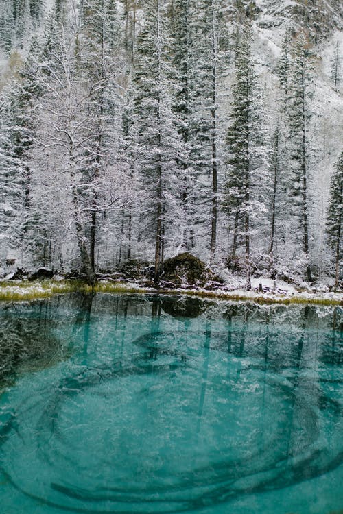 冬季森林美丽的湖 · 免费素材图片