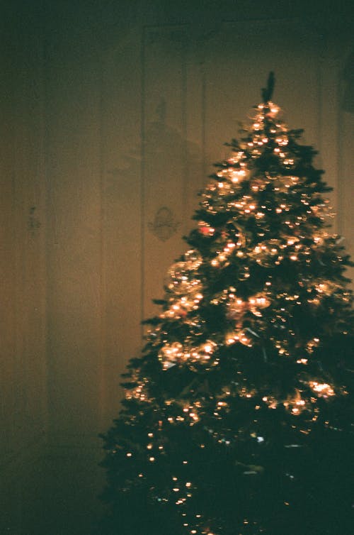 点亮圣诞树 · 免费素材图片