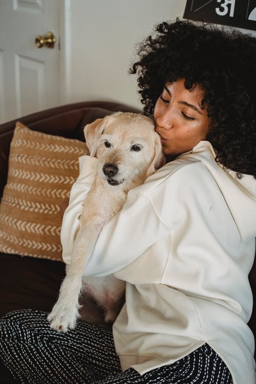 黑人妇女爱抚可爱的狗在沙发上 · 免费素材图片