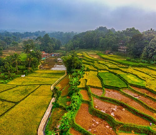 有关农业用地, 印尼, 景观的免费素材图片