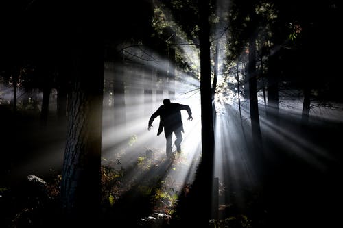 人在森林上运行的剪影 · 免费素材图片
