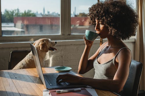 黑人女性自由职业者使用笔记本电脑，在狗附近喝咖啡 · 免费素材图片