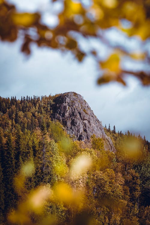 灰石山和林木 · 免费素材图片