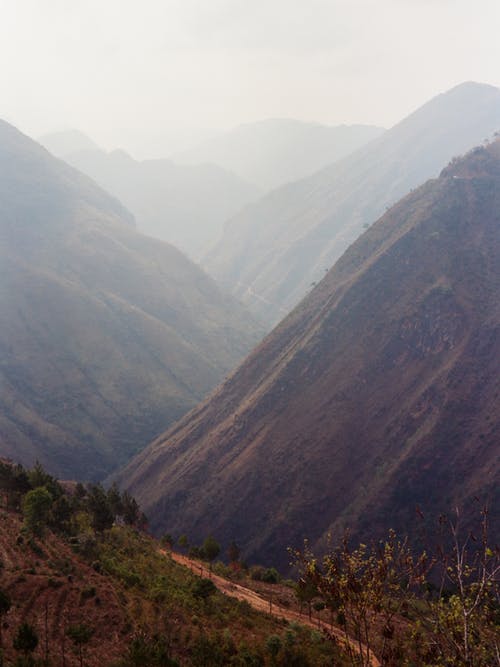 有关丘陵, 和平的, 树木的免费素材图片