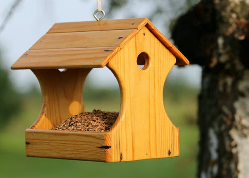 挂在树上的棕色木制鸟屋 · 免费素材图片