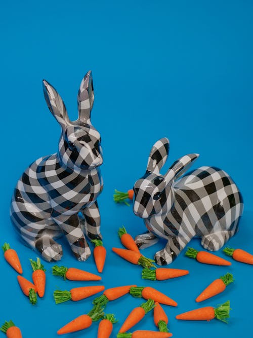 有关兔子, 可爱, 复活节兔子的免费素材图片
