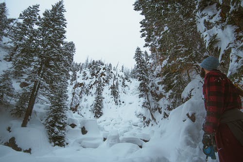 男人看着白雪覆盖的树木 · 免费素材图片