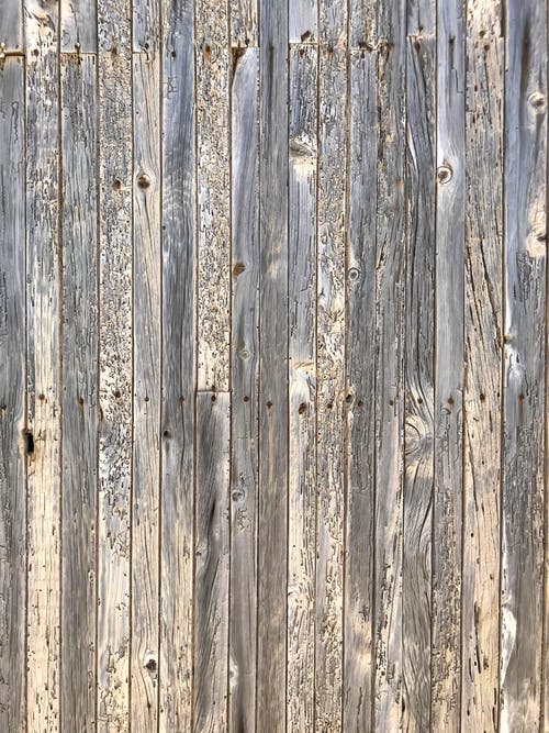 有关垂直拍摄, 壁纸, 木的免费素材图片