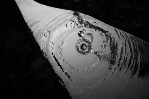 有关blob, bw, 元素的免费素材图片