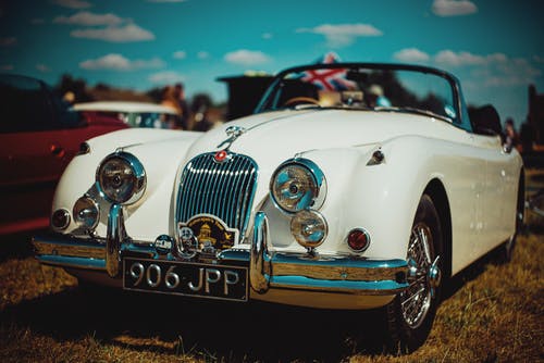 有关停, 优雅, 可敬的免费素材图片