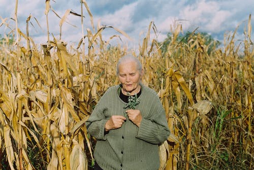 在daytie期间站在玉米田的女人 · 免费素材图片