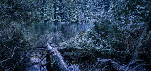 有关下雪的天气, 冬季, 冰冻的湖面的免费素材图片