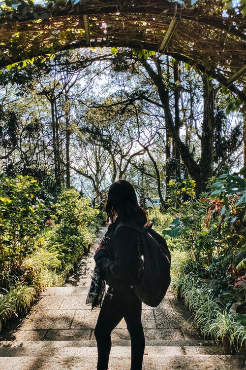 有关不露面, 人行道, 休闲的免费素材图片