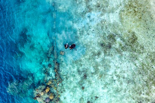 海水鸟瞰图 · 免费素材图片