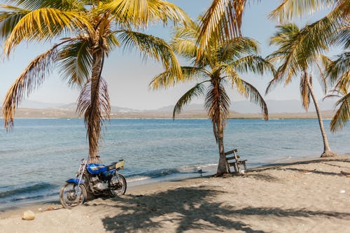 热带沙滩，摩托车和棕榈树 · 免费素材图片