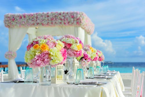 黄色和粉红色的花瓣花在白天附近海洋在蓝天下的桌子上 · 免费素材图片