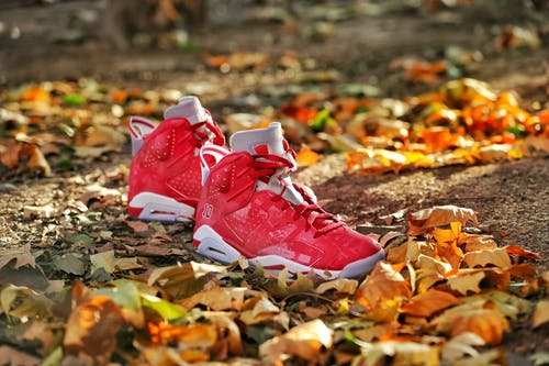 棕色叶子上的红色和白色耐克篮球鞋 · 免费素材图片