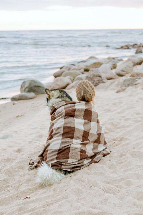 白色和棕色的围巾，坐在海滩上与狗的女人 · 免费素材图片