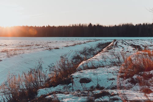 黎明期间积雪覆盖的领域的照片 · 免费素材图片