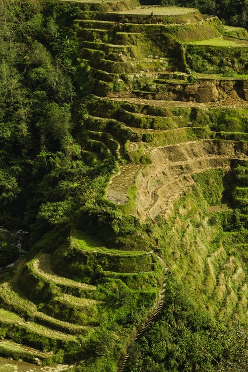 Banaue水稻梯田的航拍照片 · 免费素材图片