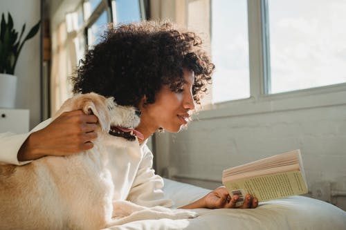 黑人妇女爱抚狗在床上看书时 · 免费素材图片