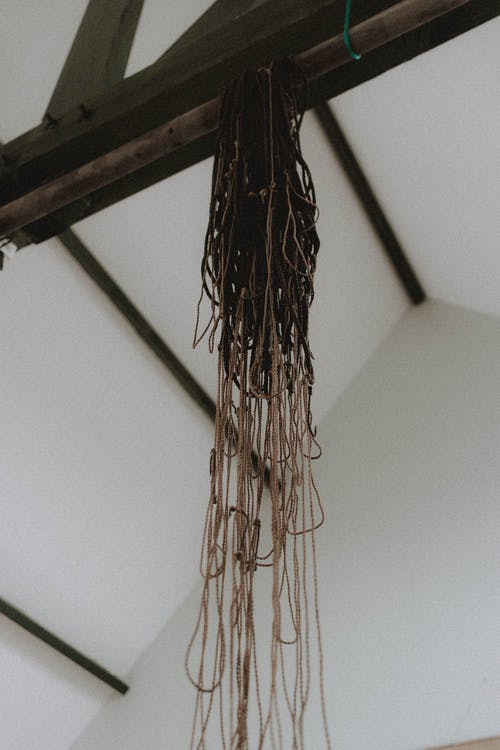 有关从下面, 保管, 元素的免费素材图片