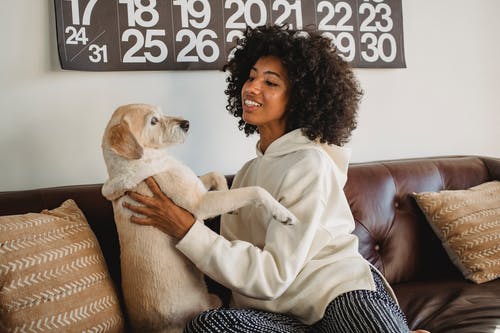 在沙发上快乐黑人女性拥抱狗 · 免费素材图片