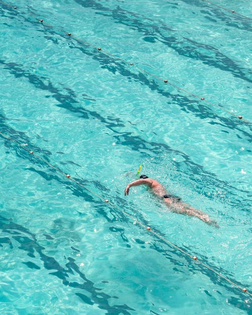 匿名男子在游泳池里游泳前爬网 · 免费素材图片