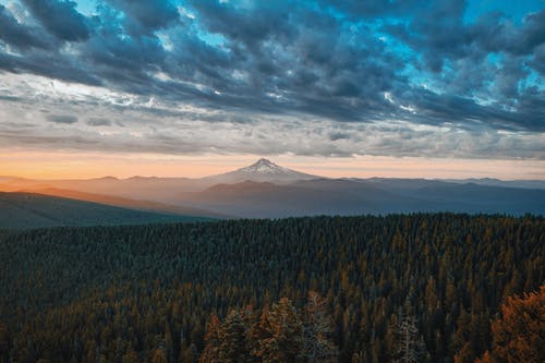 在多云的天空下山附近的绿色松树 · 免费素材图片