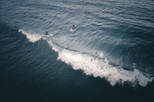 有关一起, 不怕, 假日的免费素材图片