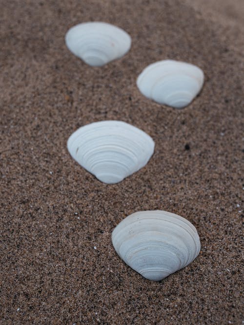 有关垂直拍摄, 海滩, 砂的免费素材图片