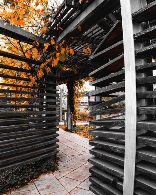 有关不动产, 光, 公园的免费素材图片